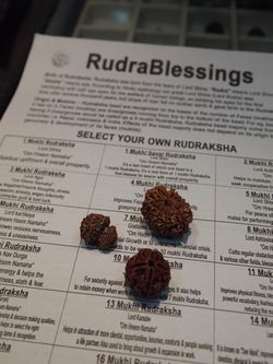 6a01287573b46a970c014e884571be970d-800wi