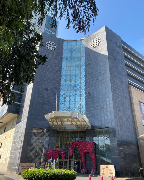 309376540_10225683288206133_4124736288407374978_n